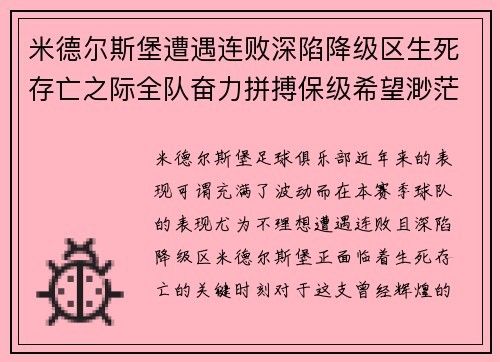 米德尔斯堡遭遇连败深陷降级区生死存亡之际全队奋力拼搏保级希望渺茫