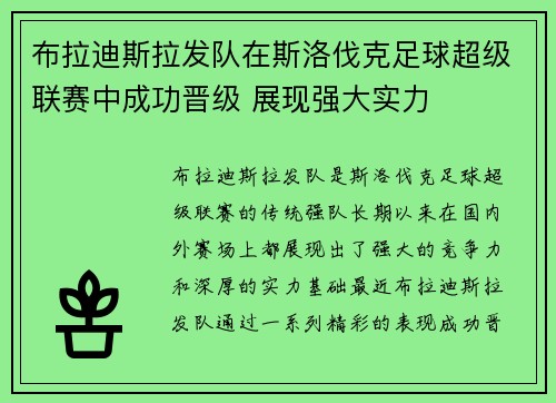布拉迪斯拉发队在斯洛伐克足球超级联赛中成功晋级 展现强大实力