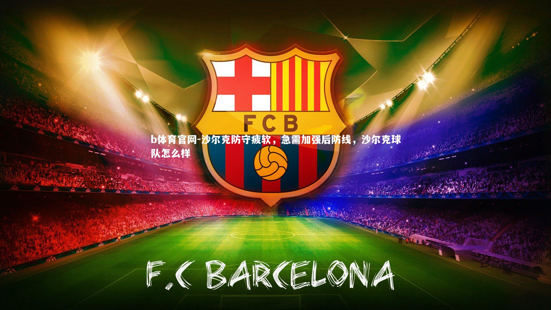 沙尔克防守疲软，急需加强后防线，沙尔克球队怎么样