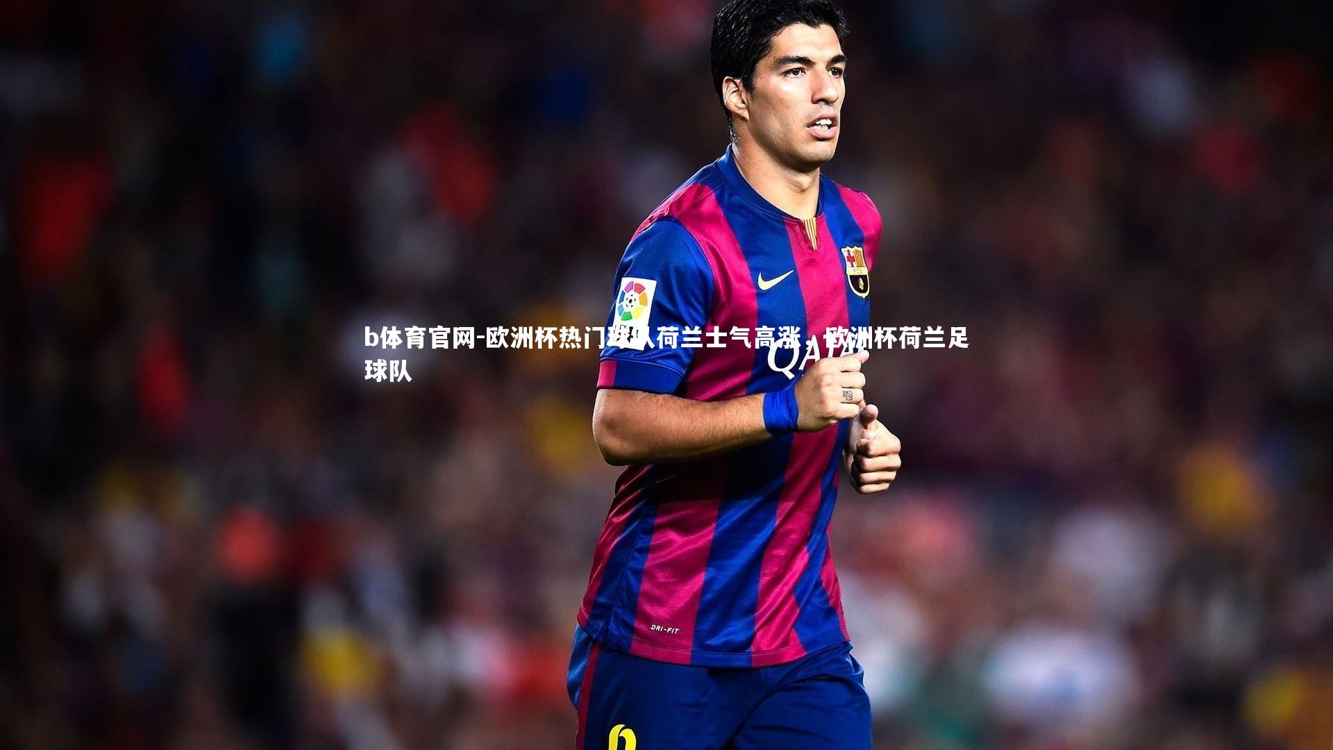 欧洲杯热门球队荷兰士气高涨，欧洲杯荷兰足球队