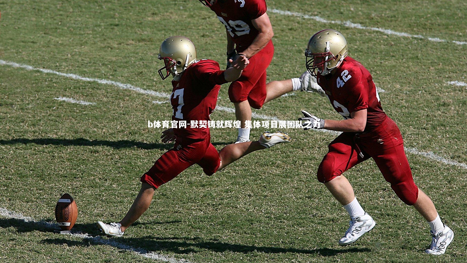 默契铸就辉煌 集体项目展团队之力